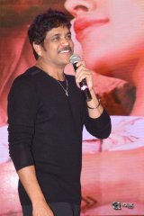Sailaja Reddy Alludu Movie Pre Release Event Photos